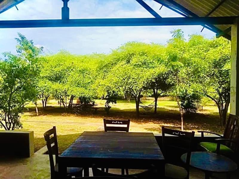 Bed and Breakfast Thihawa Eco Huts Yala Тіссамахарама Екстер'єр фото